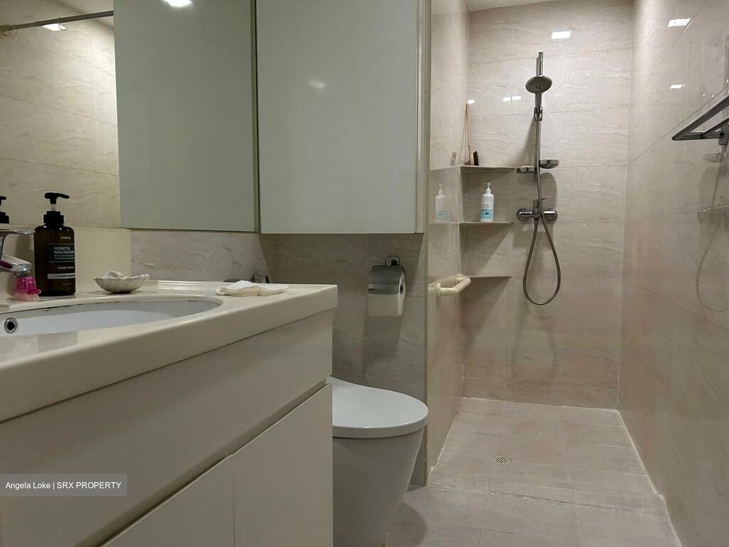 Holland Village Way (D10), Condominium #457480381